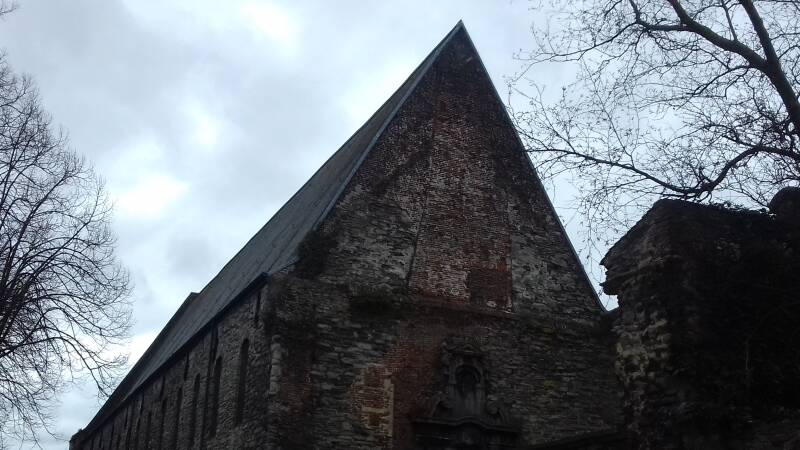 20190316_131256-standard.jpg