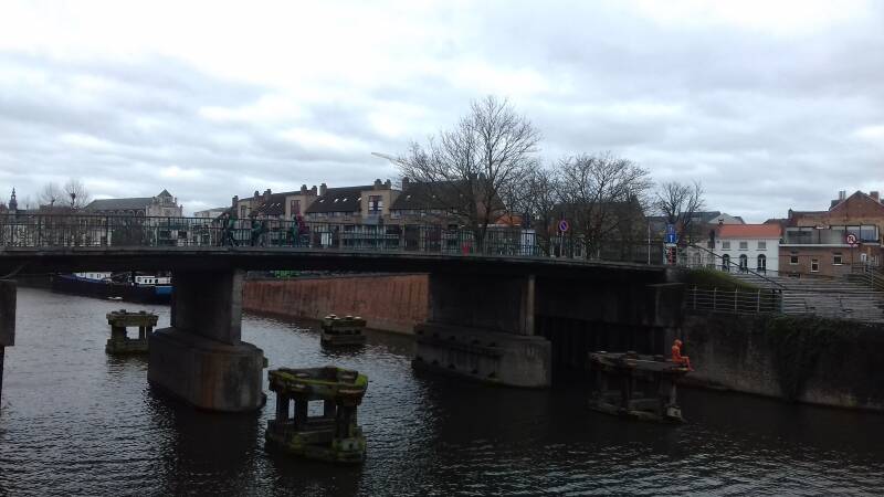 20190316_131424-standard.jpg