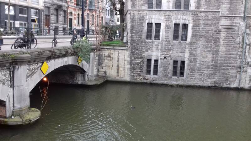 20190316_132406-standard.jpg