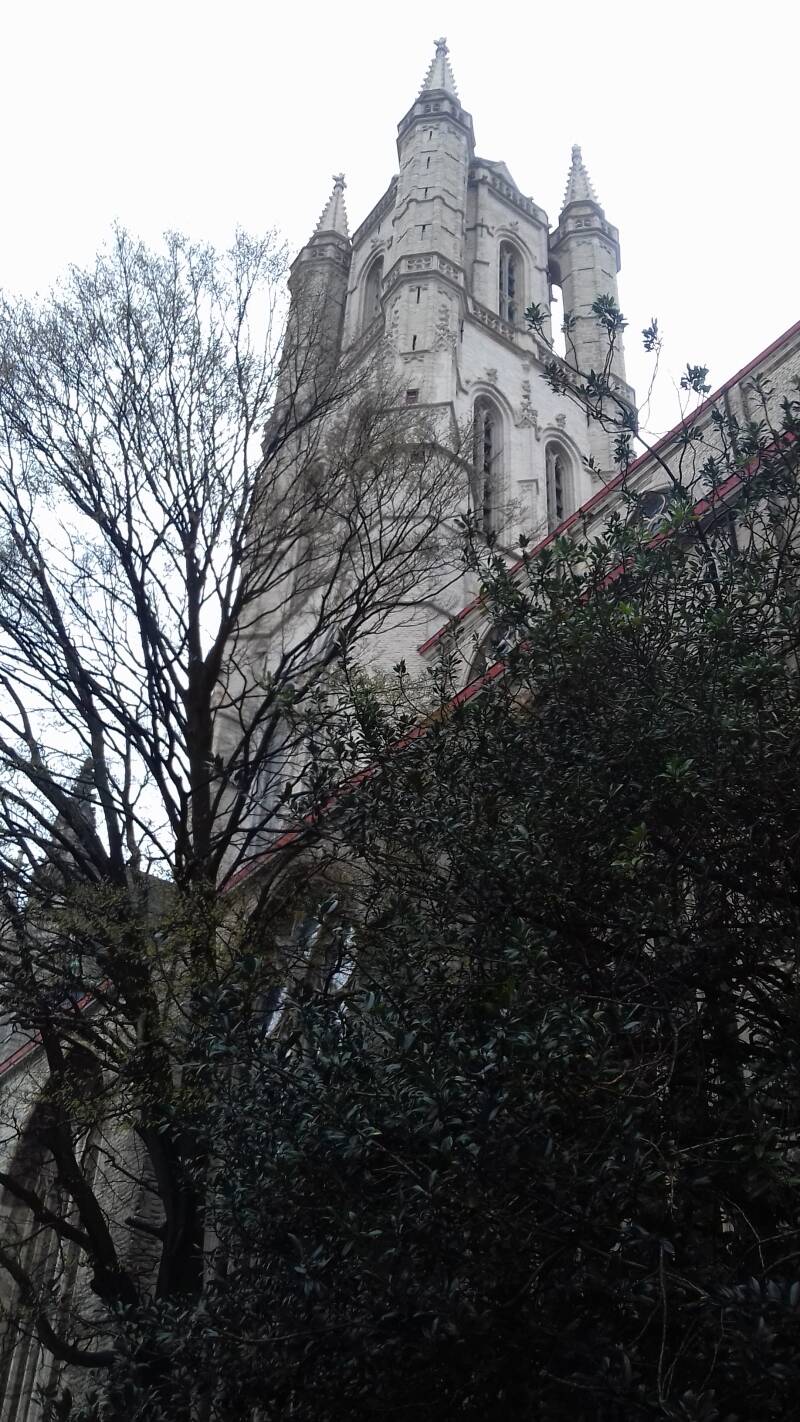 20190316_132951-standard.jpg