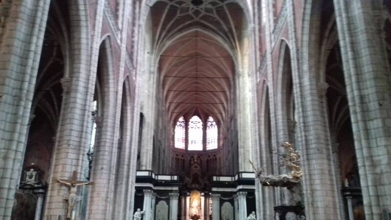20190316_133253-standard.jpg