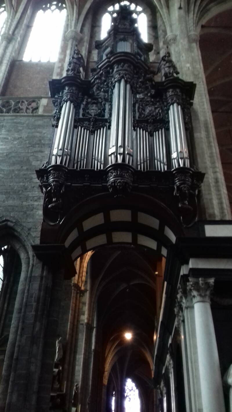 20190316_133505-standard.jpg