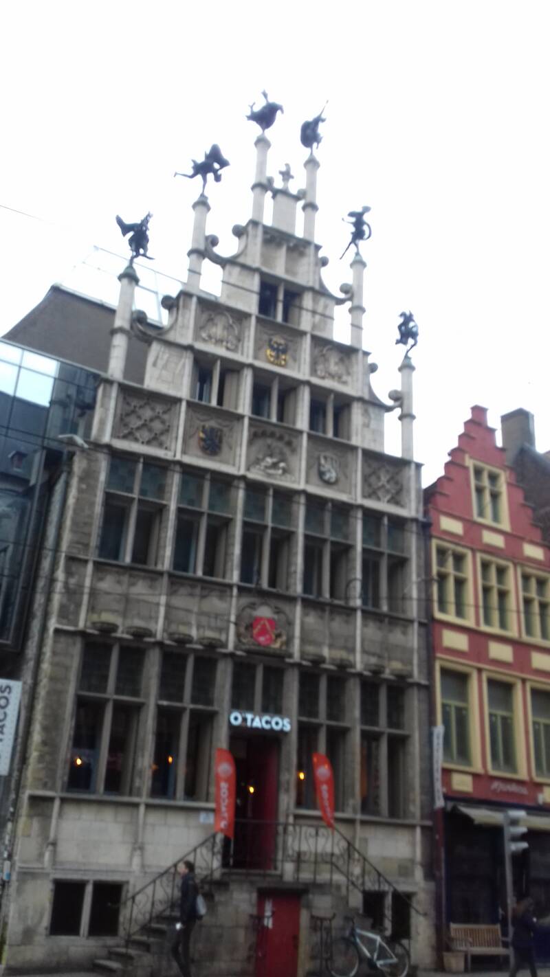20190316_135033-standard.jpg