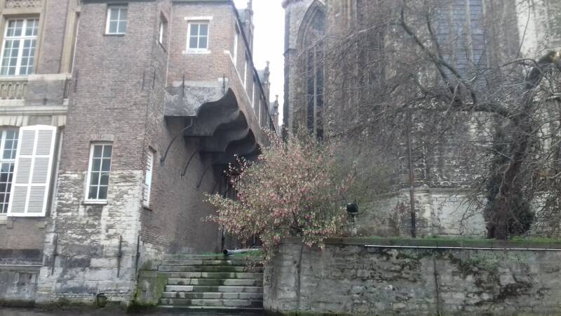 20190316_151411-standard.jpg