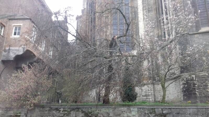 20190316_151416-standard.jpg