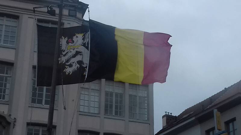 20190316_151823-standard.jpg