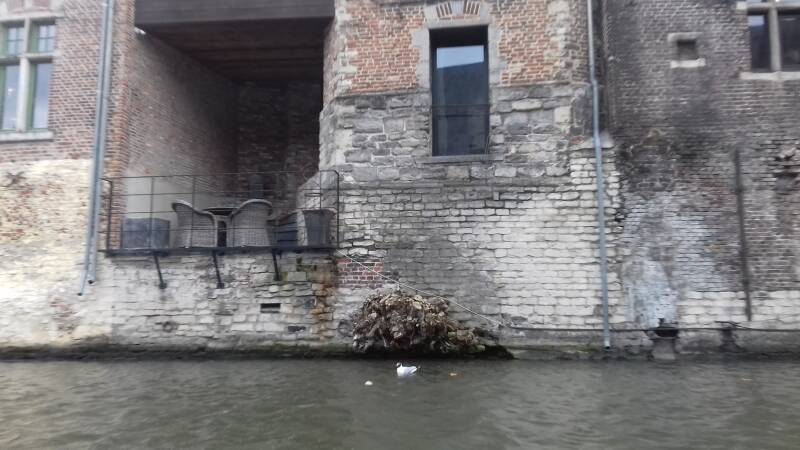 20190316_152009-standard.jpg