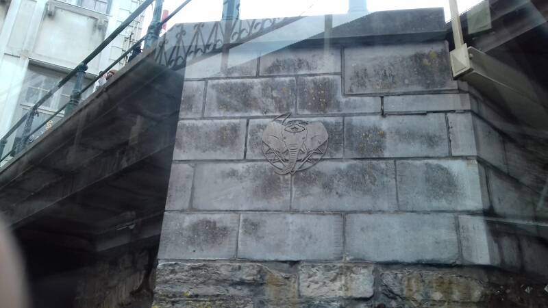20190316_152029-standard.jpg