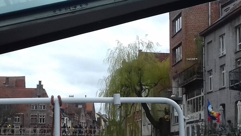 20190316_152619-standard.jpg