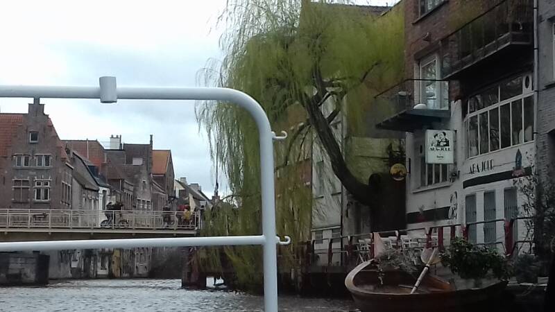 20190316_152632-standard.jpg