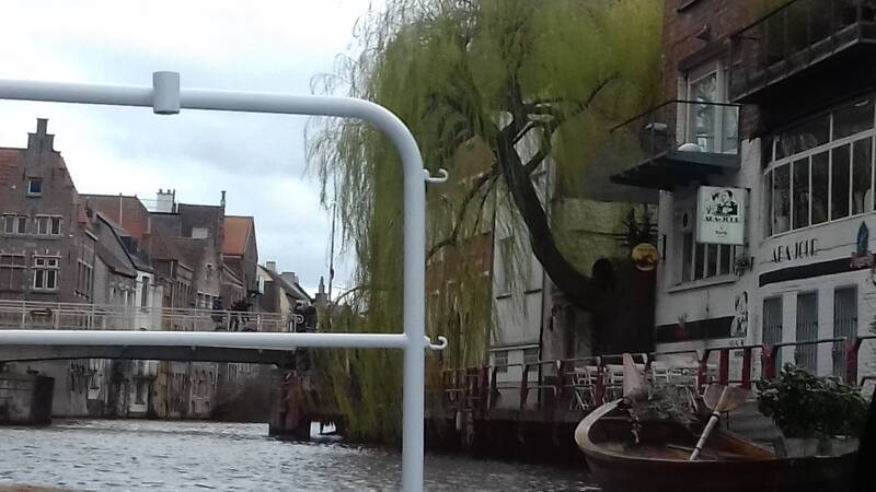 20190316_152635-standard.jpg