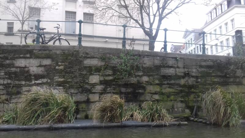 20190316_152809-standard.jpg