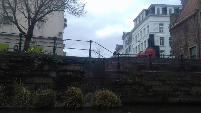 20190316_152816-standard.jpg