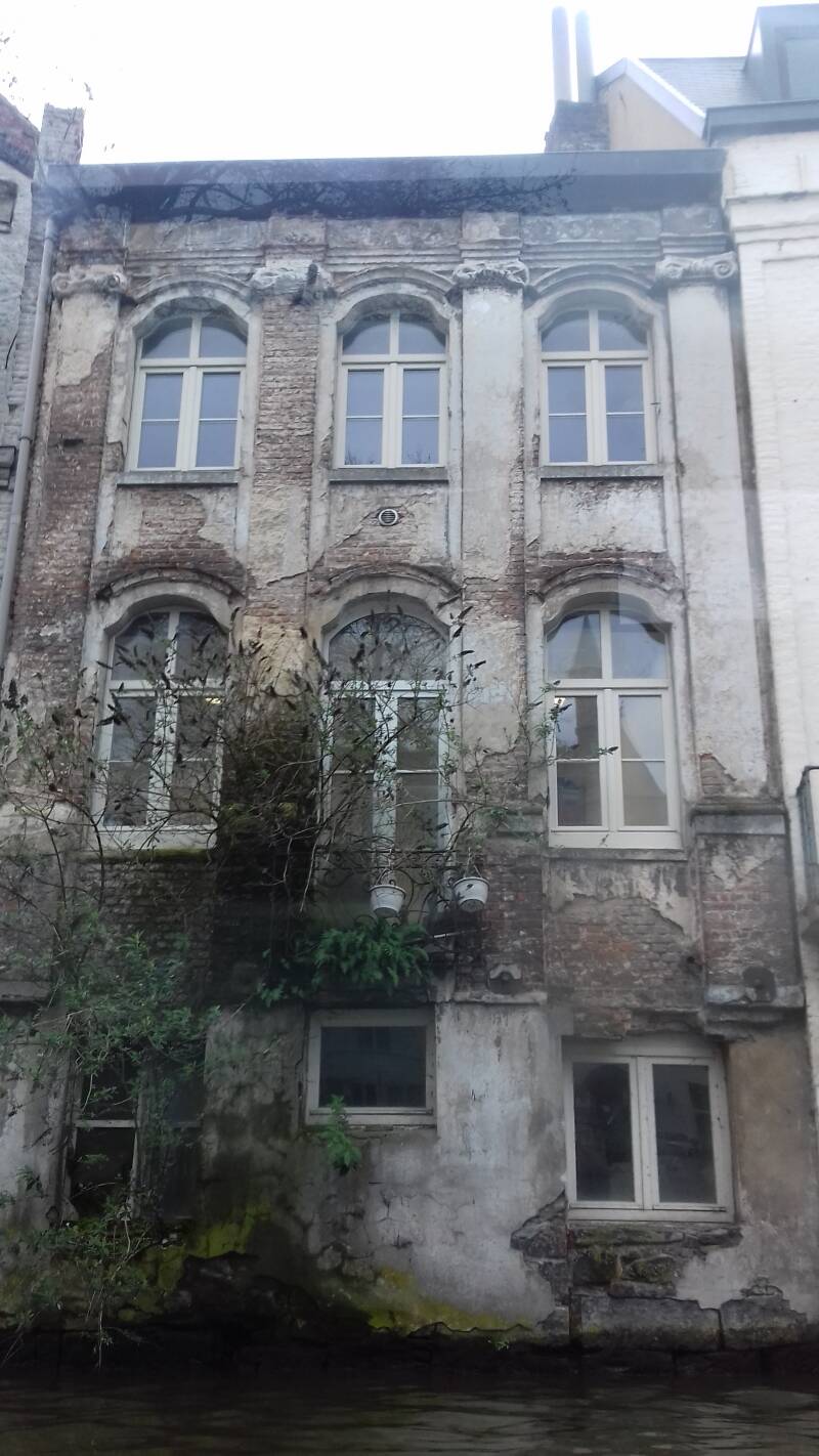 20190316_152841-standard.jpg