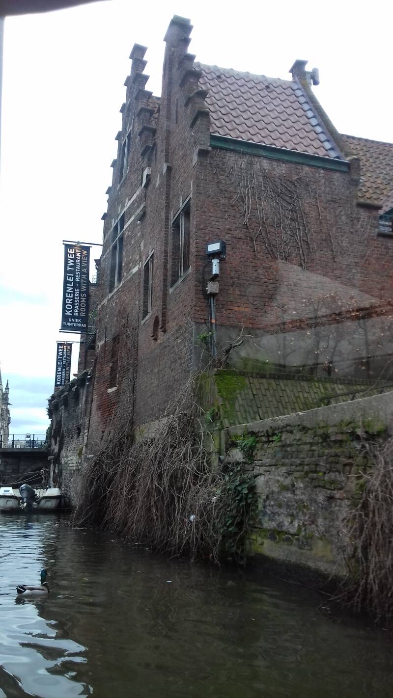 20190316_153233-standard.jpg