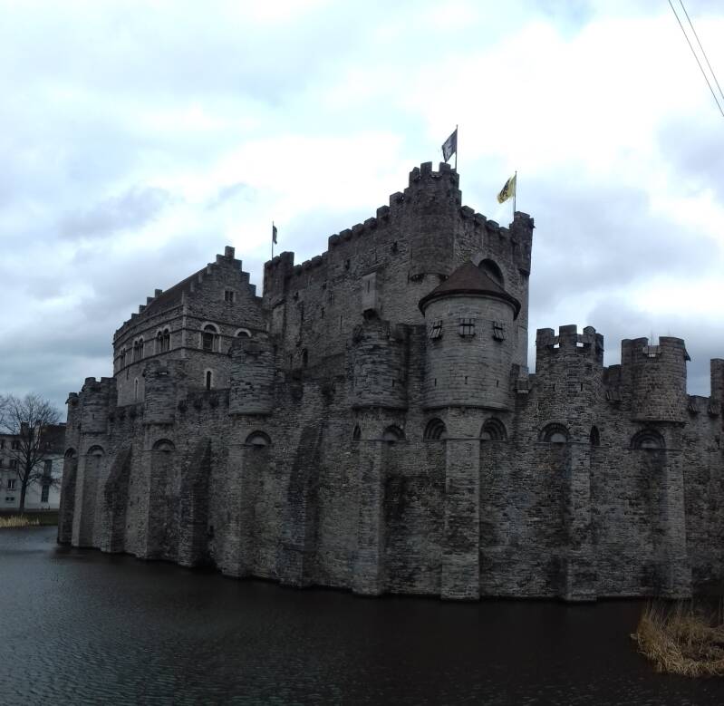 20190316_155048-standard.jpg