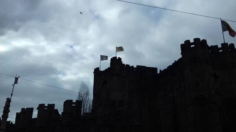 20190316_160853-standard.jpg