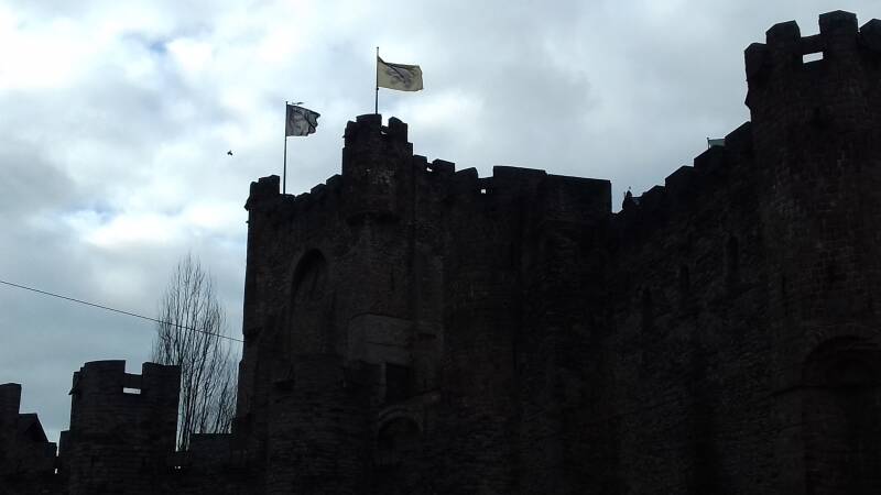 20190316_160857-standard.jpg