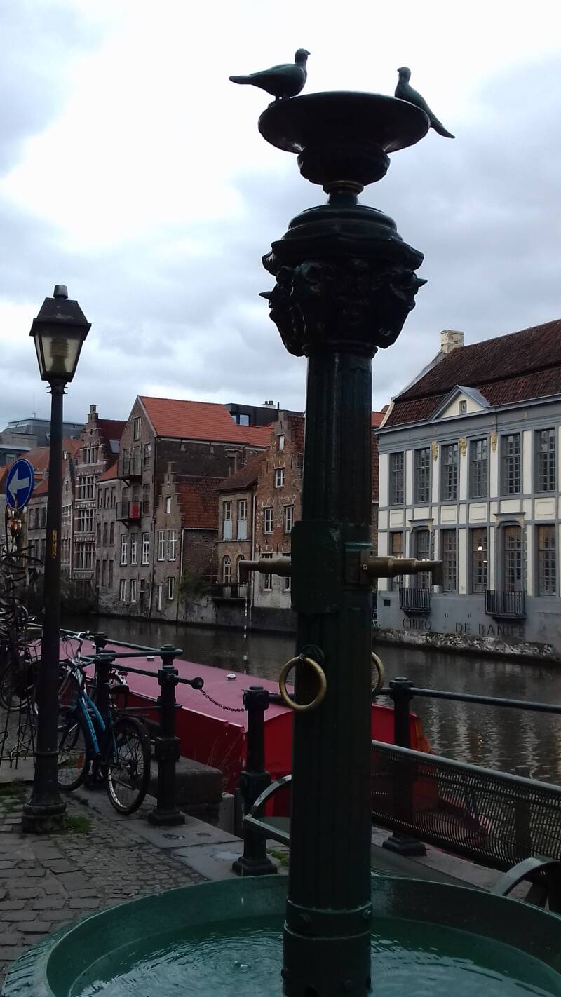 20190316_161057-standard.jpg
