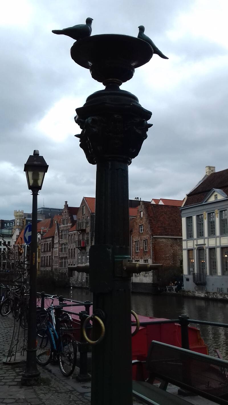 20190316_161110-standard.jpg