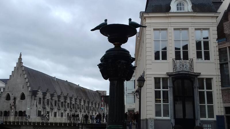 20190316_161143-standard.jpg