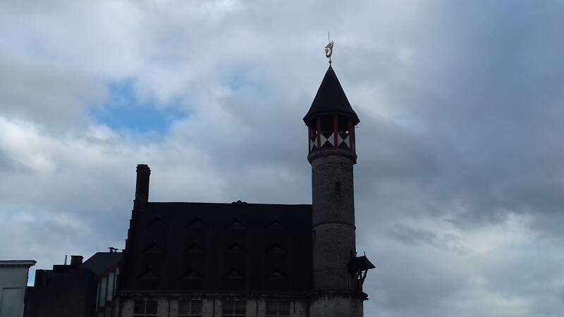 20190316_162232-standard.jpg