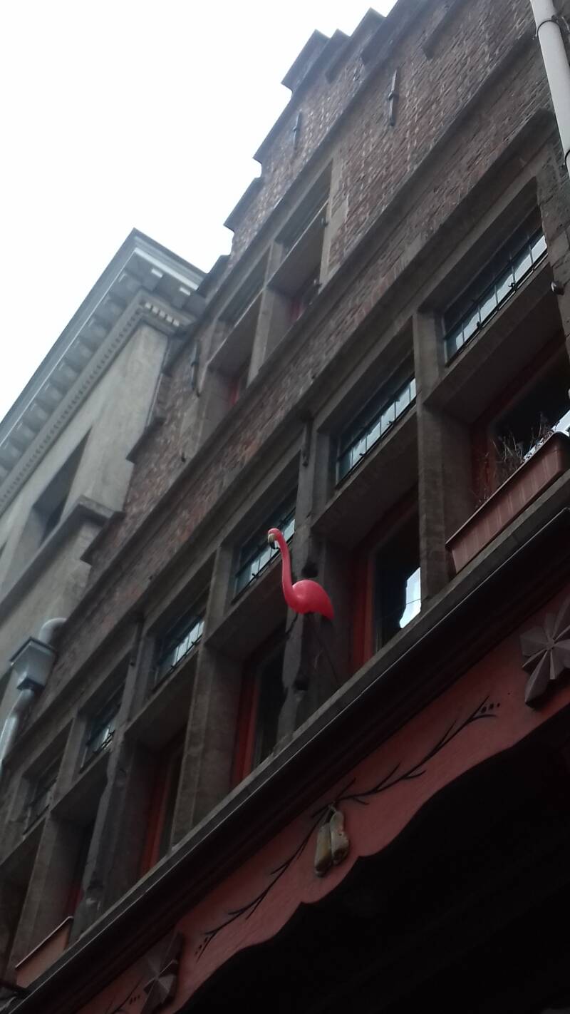 20190316_162942-standard.jpg