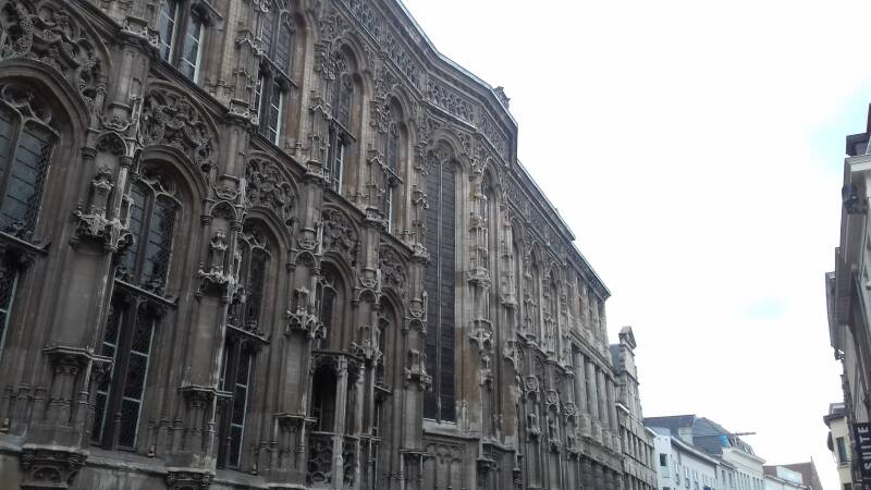 20190316_163127-standard.jpg