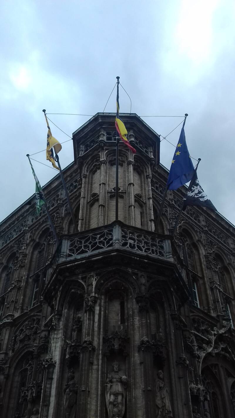 20190316_163202-standard.jpg