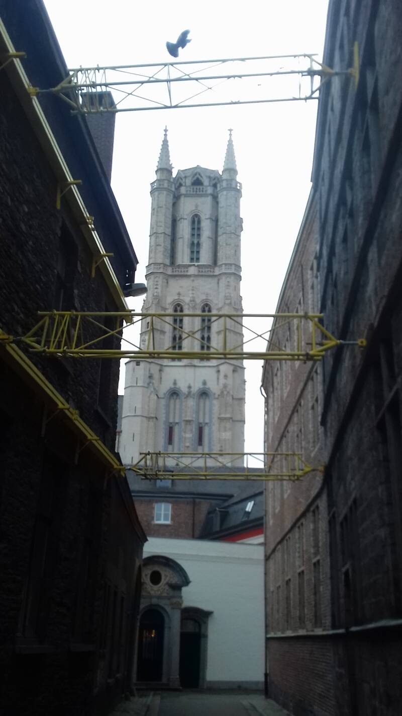 20190316_163626-standard.jpg