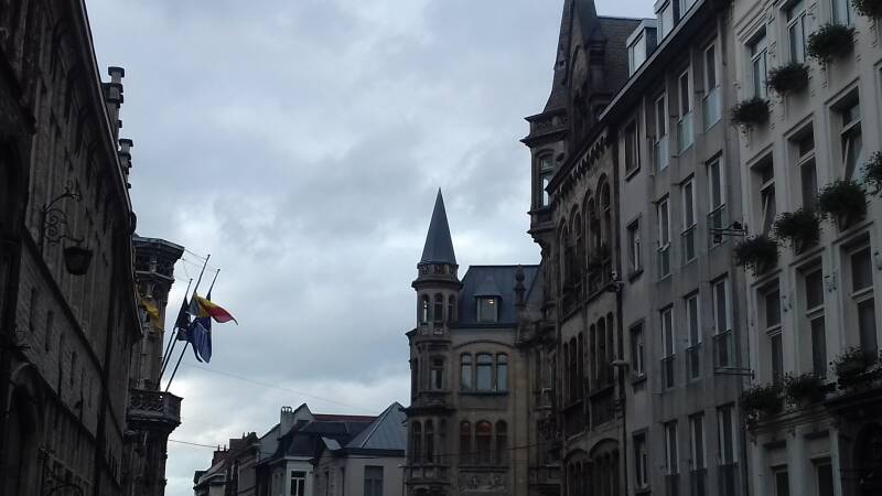 20190316_163717-standard.jpg