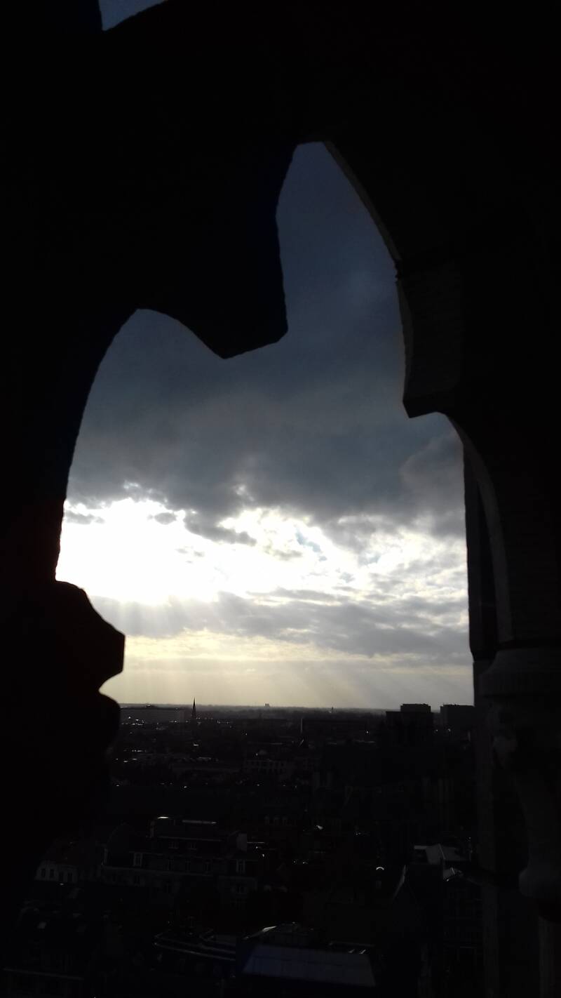 20190316_172806-standard.jpg