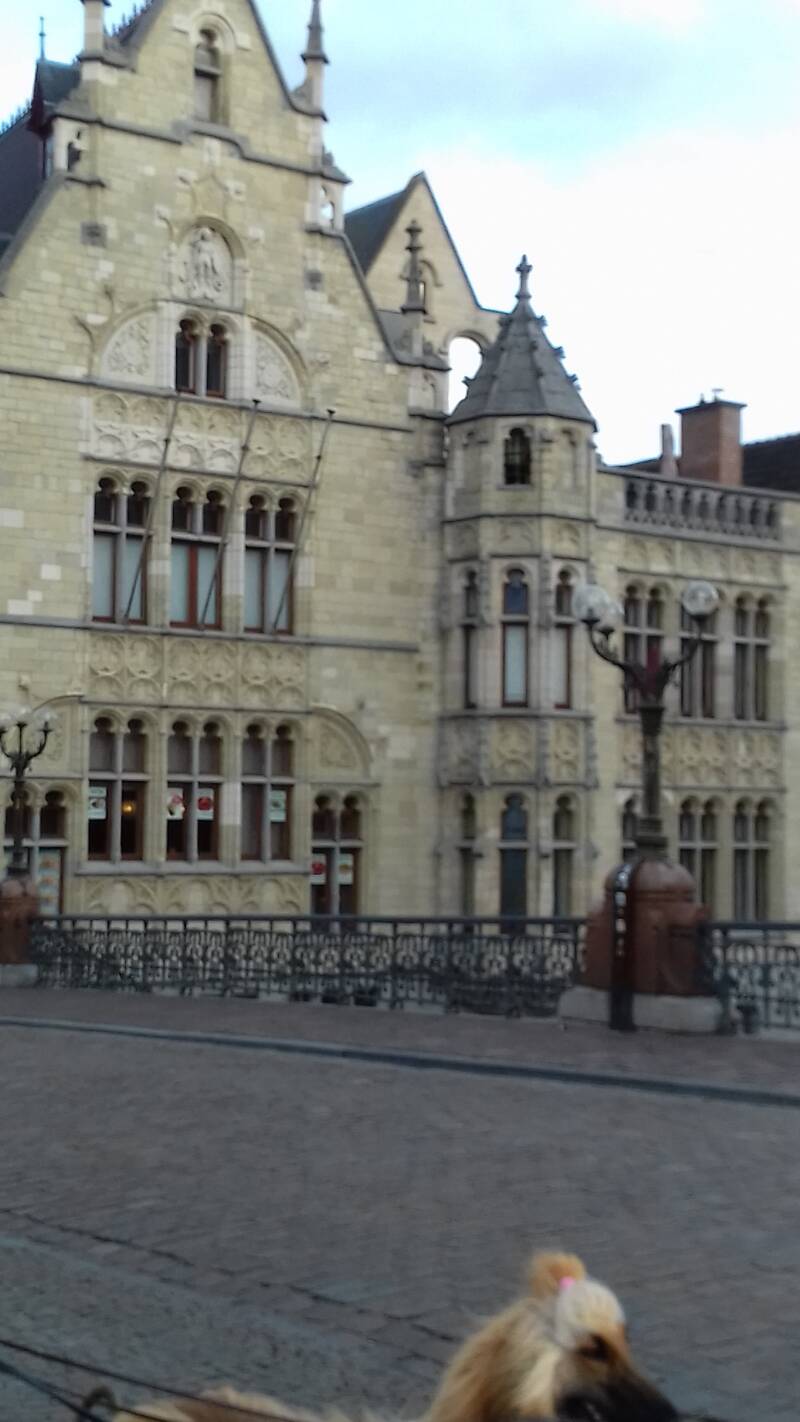 20190316_174551-standard.jpg