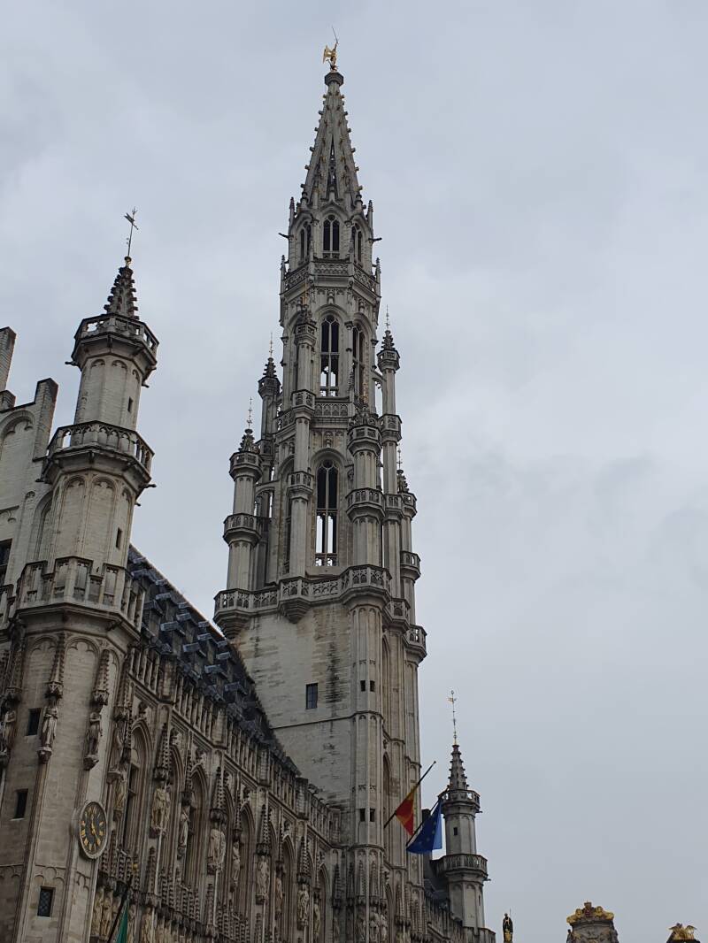 20190525_112126.jpg