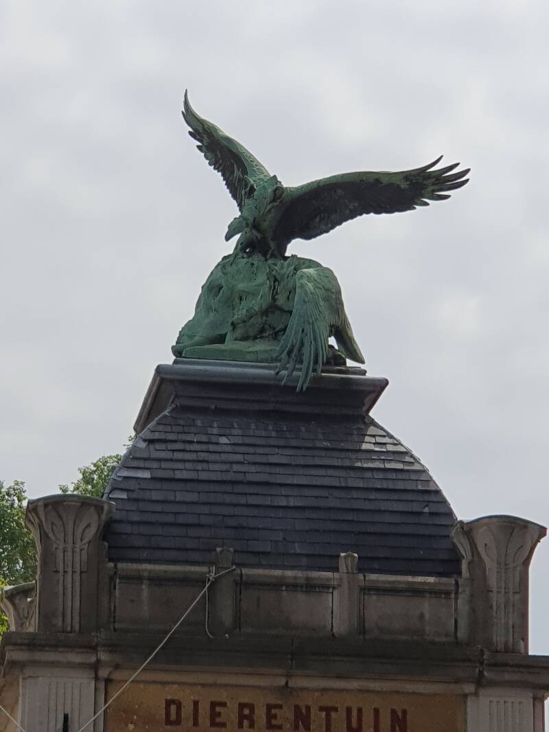 20190526_114802.jpg