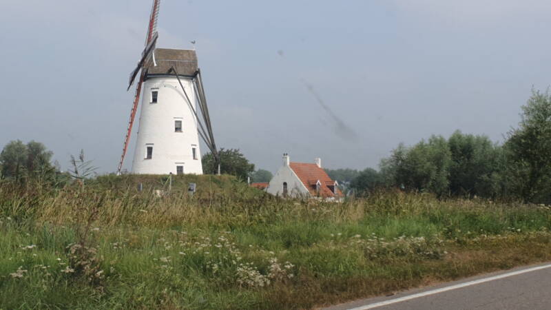 20200816_114637.jpg