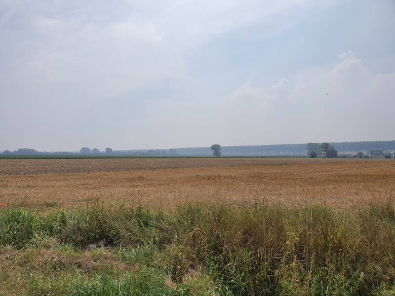 20200816_125532.jpg