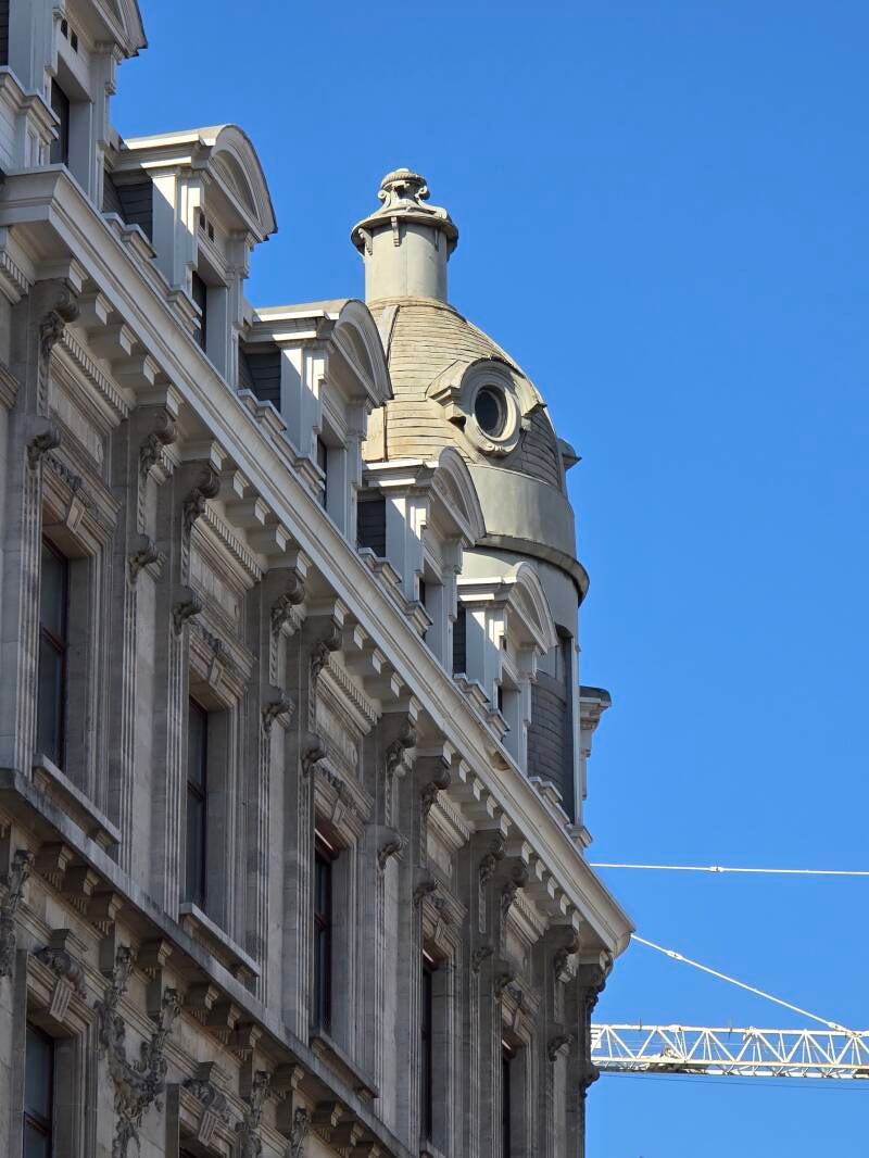20250404_110632-standard.jpg