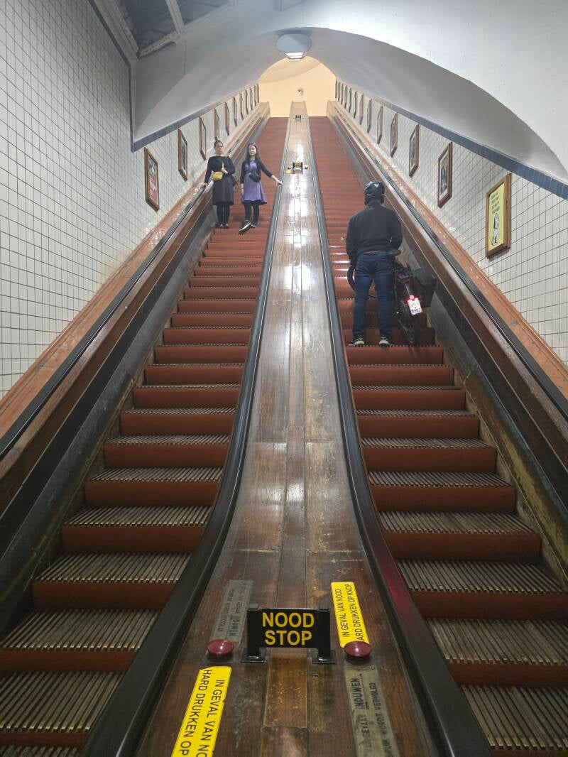 20250404_151844-standard.jpg