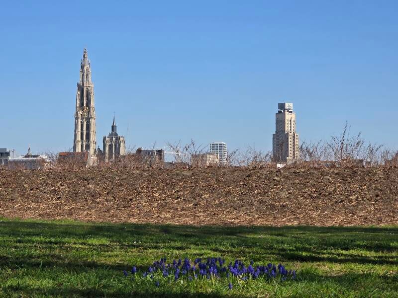 20250404_152241-standard.jpg