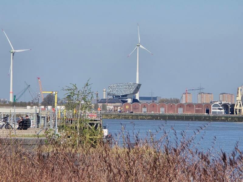 20250404_152359-standard.jpg