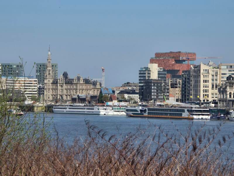 20250404_152416-standard.jpg