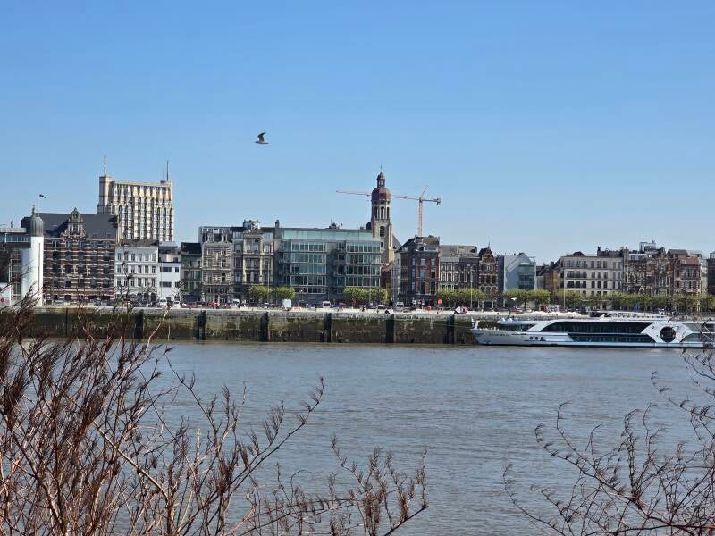 20250404_152923-standard.jpg