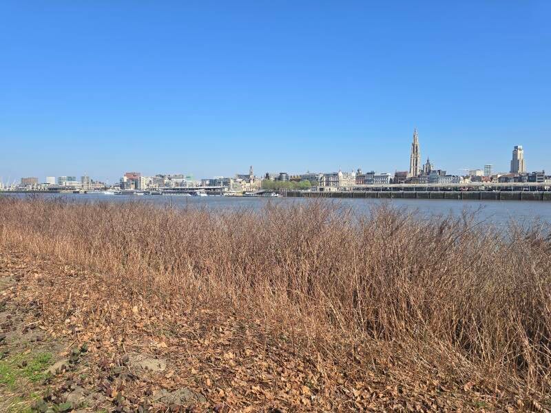 20250404_153037-standard.jpg