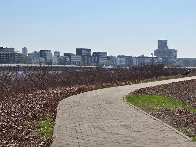 20250404_153345-standard.jpg