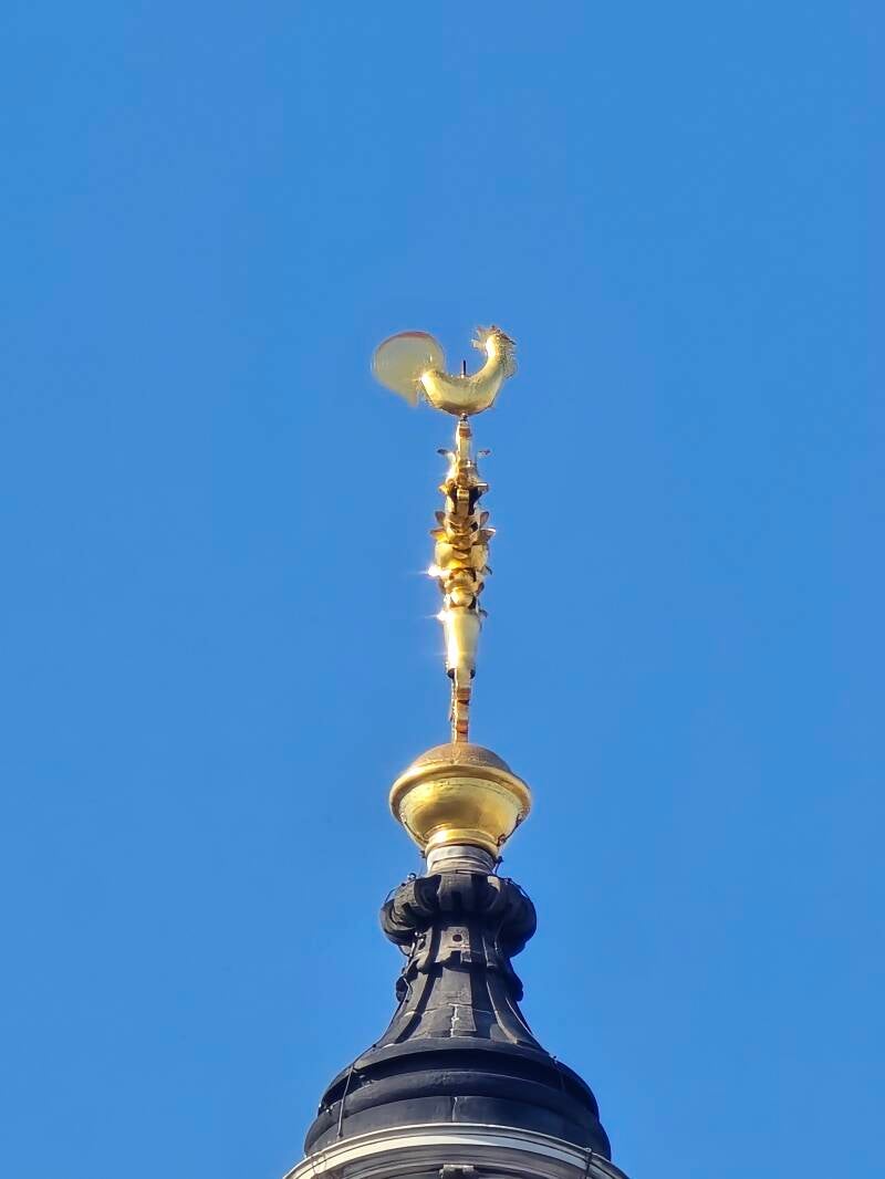 20250404_172018-standard.jpg