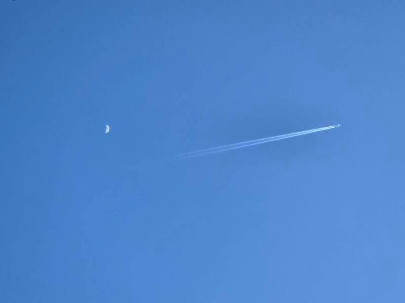 20250404_191312-standard.jpg