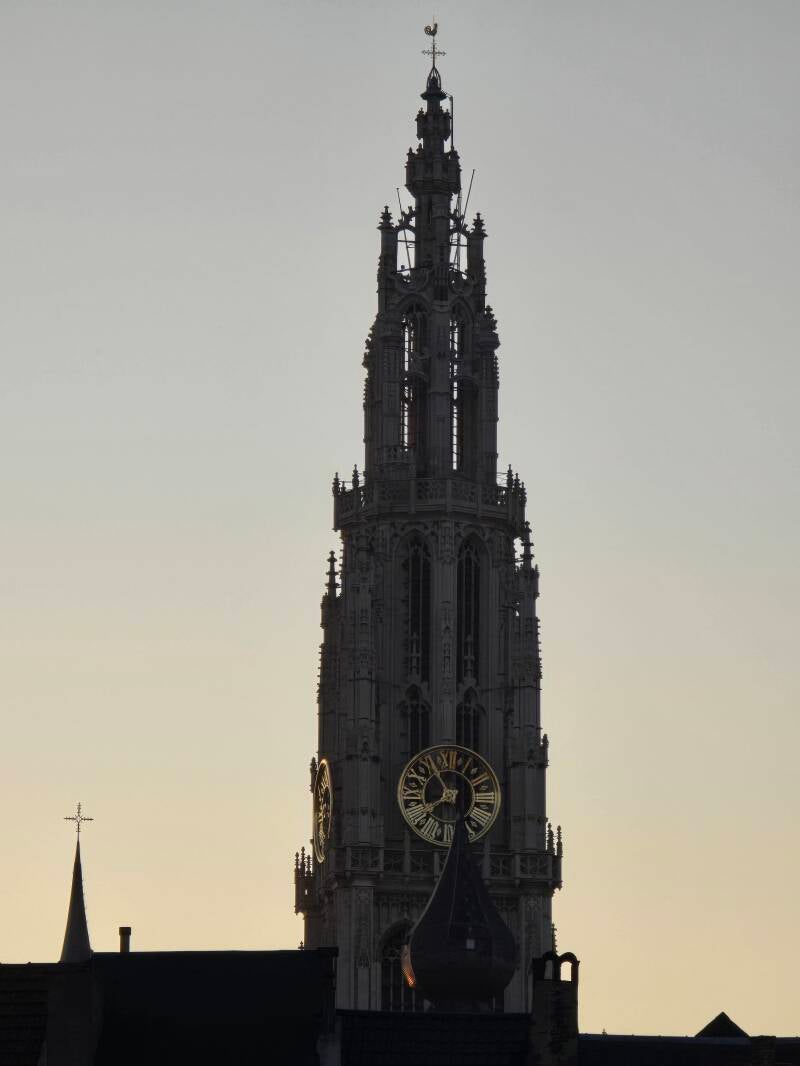20250404_195344-standard.jpg