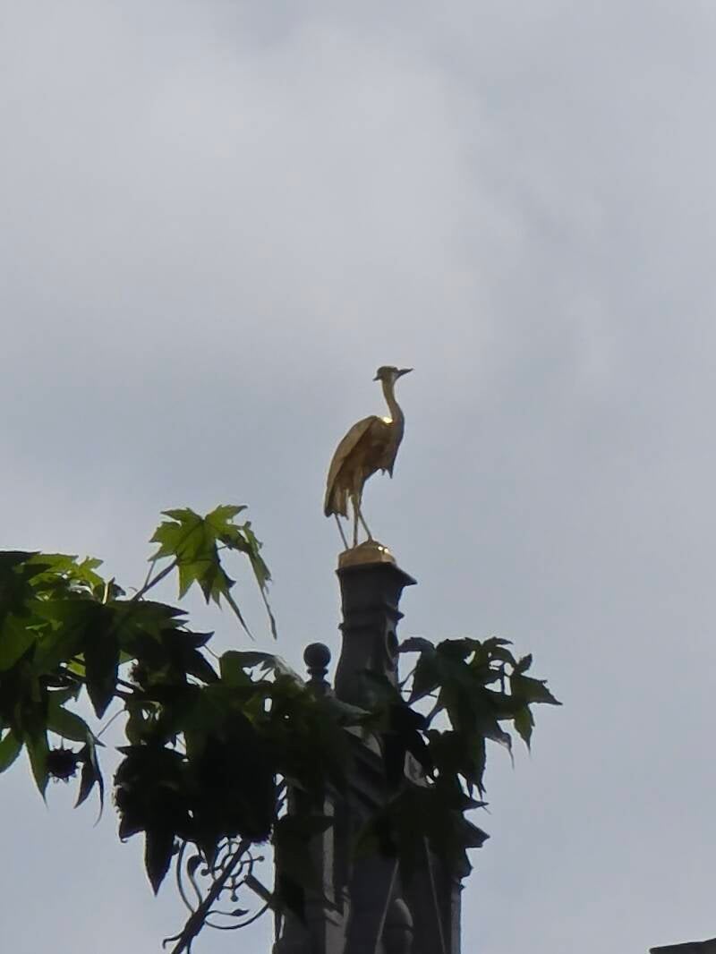 20250530_110150-standard.jpg