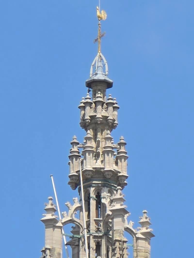 20250530_141849-standard.jpg